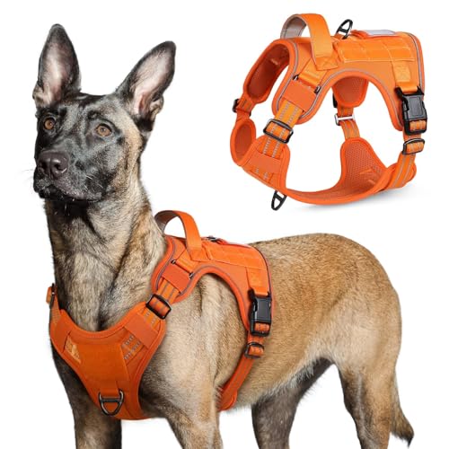 rabbitgoo Tactical Dog Harness for Large Dogs, No Pull Military Service Vest with Handle & Molle, Easy Control for Training Walking, Adjustable Reflective Straps, Orange, L - color: Orange, size: Large