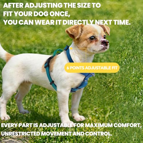 Roses&Poetry Dog Harness Medium Sized Dog, 6 Point Adjustable Fit No Pull Harness with Handle for Control and Easy Walking, Reflective Pet Halter Harnesses（Bluegreen-M） - color: BlueGreen（Harness Only Without Leash）, size: Medium