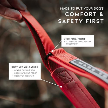 MADE TO ROAM Premium Everyday Dog Collar - Martingale Style No Pull Vegan Leather Collar, Heavy Duty and Lightweight for Small, Medium, Large Dogs (Utah Glow, Size 11) - color: Utah Glow, size: Size 11