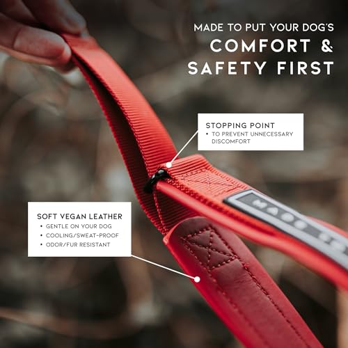 MADE TO ROAM Premium Everyday Dog Collar - Martingale Style No Pull Vegan Leather Collar, Heavy Duty and Lightweight for Small, Medium, Large Dogs (Arizona Heartbeat, Size 2) - color: Arizona Heartbeat, size: Size 2