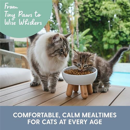 The Cat Ladies Tilted Ceramic Cat Bowl - Elevated Food Bowls Ceramic Pet Bowl - Raised Ceramics Bowls - Elevated & Tilted Design for Comfortable Eating - Dishwasher Safe - Wide Opening - color: Light Grey