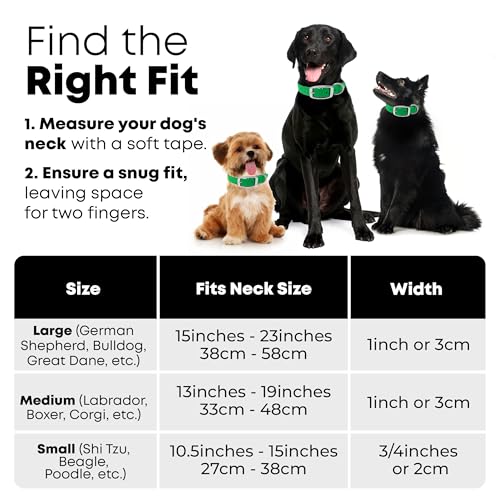 Regal Dog Products Small Light Green Waterproof Dog Collars with Custom Engraved Name Plate | Vinyl Coated, Easy to Clean Personalized Biothane Dog Collar - Other Sizes for Medium & Large Dogs - color: Light Green, size: Small Collar