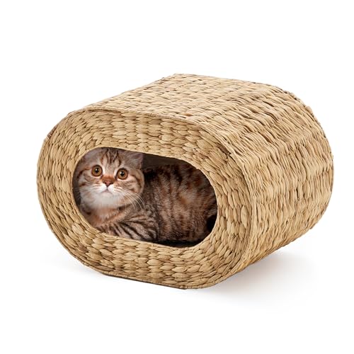 Cat House,Handwoven Cat Cave Pet Cube, Natural Cat Beds Indoor Kitten House with Double-Sided Soft Cushions, Pet Cat House for Multiple Cats, for Living Room Bedroom - color: Water Hyacinth, size: 20.7inch*14.5*14.5