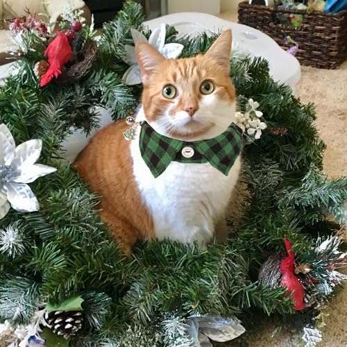 ADOGGYGO Christmas Cat Collars Breakaway with Bow Tie Bell, 2 Pack Red Green Plaid Xmas Kitten Collar with Removable Shirt Collar, Plaid Christmas Collars for Cats Kittens - color: Red&Green-3