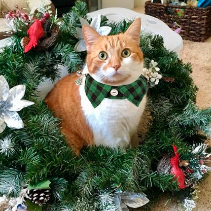 ADOGGYGO Christmas Cat Collars Breakaway with Bow Tie Bell, 2 Pack Red Green Plaid Xmas Kitten Collar with Removable Shirt Collar, Plaid Christmas Collars for Cats Kittens - color: Red&Green-3
