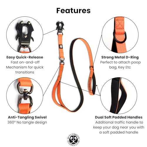 BULLYBREED | Heavy Duty Dog Leash, Tactical Dog Leash, Quick Release Frog Clip with Anti-Tangling Swivel System for Large Dogs that Pull with Soft Double Handles (5 FT Long, Orange) - color: Orange Double Handle