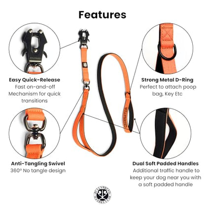 BULLYBREED | Heavy Duty Dog Leash, Tactical Dog Leash, Quick Release Frog Clip with Anti-Tangling Swivel System for Large Dogs that Pull with Soft Double Handles (5 FT Long, Orange) - color: Orange Double Handle