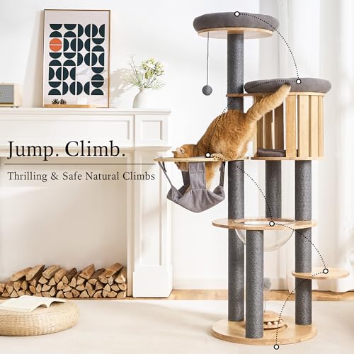 797Audio Wood Modern Cat Tree, 61.5" Cat Tower with Sisal Scratching Posts, Cat Condo, Capsule, Hamnock and Spinner Toy,Solid Wooden Aesthetic Multi-Level Cat Climbing Tree for Adult Indoor Cats-Gray - color: 62 Inch-Turntable-Gray