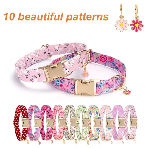 Custom Customized Personalized Dog Collars with Engraved ID Name Phone Number with Metal Buckle - Adjustable Dog Collars for Male Female Girl Boy Puppy X-Small Small Medium Large X-Large Dogs - color: New matel buckle