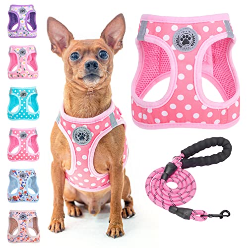 BEAUTYZOO Step in Dog Harness and Leash Set, Polka Dot Pattern Reflective Dog Harness No Pull No Choke Puppy Harness for XXS XS S Dogs Cats, Soft Padded Mesh Vest Harnesses for Girl and Boy Pets - color: Pink Polka Dots, size: XX-Small(Chest Girth 11.5"-1