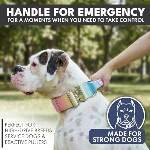 Spark Paws Tactical Dog Collar - Heavy Duty, Premium Quality, Thick and Durable for Large and Medium Dogs - Pastel Icing - XS - 1" - color: Pastel Icing, size: XS: 14"-19" [1" wide]