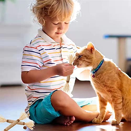 Cat Toys 21Pack Silvervine Chew Stick Kitten Treat Catnip Toy Kitty Natural Stuff Catnip Matatabi for Cleaning Teeth Indoor Dental Snack Interactive - size: 21Pack