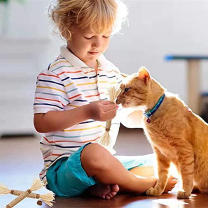 Cat Toys 21Pack Silvervine Chew Stick Kitten Treat Catnip Toy Kitty Natural Stuff Catnip Matatabi for Cleaning Teeth Indoor Dental Snack Interactive - size: 21Pack