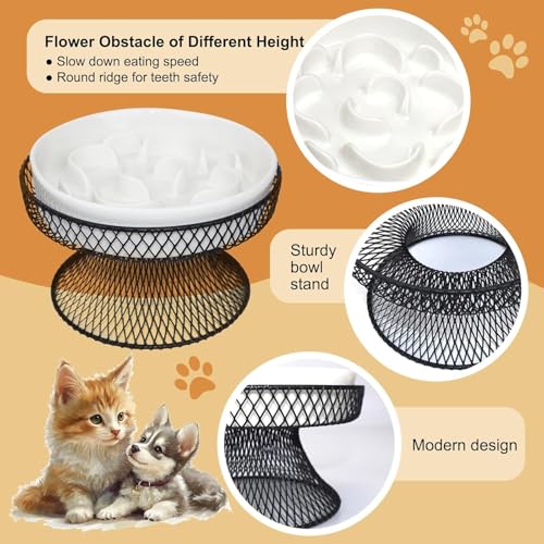 2PCS Raised Ceramic Cat Slow Feeder Bowl Elevated Food Bowl with Stand, Cat Slow Bowl for Wet Food and Dry Food,Slow Down Eating Speed, Whisker Friendly Pet Puzzle Feeder for Kitten and Small Dog - color: White Set of 2