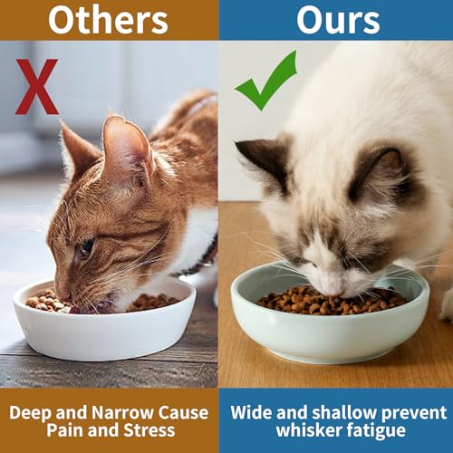5.3 in Ceramic Cat Dishes - Shallow Food Bowls for Small Pets, 3 Pack for Food and Water -Light Blue - color: Light Blue
