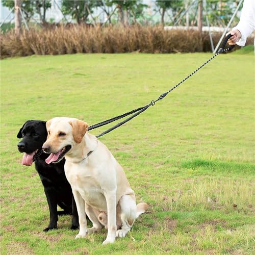 2 Two Dogs Leash Coupler Double Twin Lead Walking Dog Leashes(Orange) - color: Orange