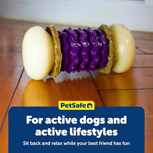 PetSafe Busy Buddy Nobbly Nubbly Treat Holding Dog Toy Strong Chewers Large - size: Large, style: Nobbly Nubbly