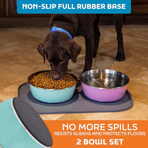 Master Pet Supply Stainless Steel Dog Bowls Set of 2 (64 Oz Each) with Non-Slip Rubber Base - Aqua Sky - Basic Dog Food Bowl Water & Food Bowls for Small Medium Large Dogs & Cats, Metal Dish - color: Aqua Sky, size: 8 Cups (64 oz) 2 Pack