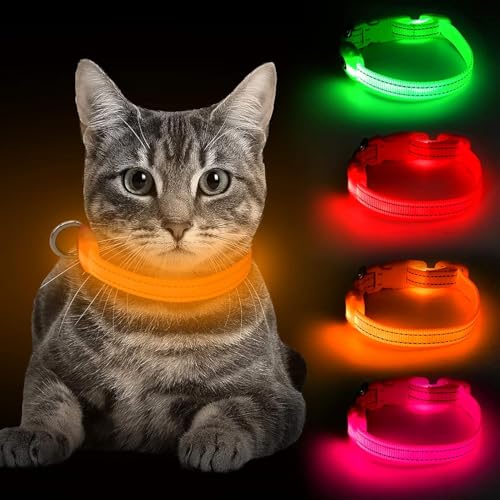 BSEEN Light Up Dog Collar, Reflective LED Dog Collar Rechargeable Glowing Puppy Collar for Puppies & Cats，Safety Dog Lights for Night Walking (Orange) - color: Orange