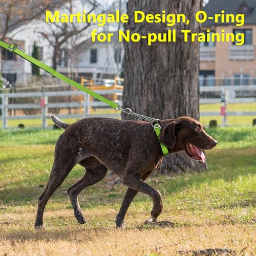 Plutus Pet Martingale Dog Collar with Stainless Steel Chain and Reflective Nylon, Adjustable No Pull Training Collar, for Small Medium, and Large Dogs, Lime Green, S - color: Lime Green, size: Small