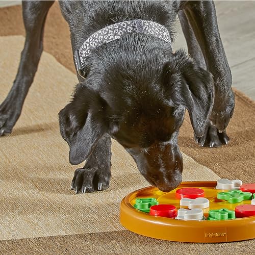 Brightkins Pizza Party! Treat Puzzle - Interactive Dog Toys, Dog Puzzle Toy and Slow Feeder, Enrichment Feeder for Dogs and Cats, Puppy Toys to Keep Them Busy, Cat Enrichment Puzzles - size: (Pack of 1)