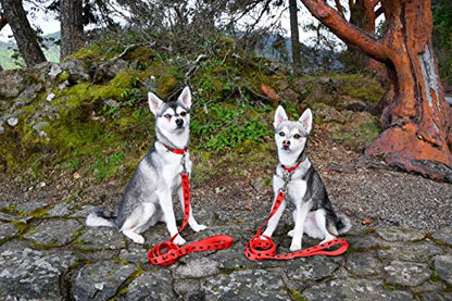 EcoBark Teacup Dog Leash - Soft & Reflective Toy Breed Leashes with Padded Handle - Strong & Durable - Training and Pulling for Tiny & Small Dogs (Red) - color: Red, size: 6 ft x 5/8 in - Thinnest Width