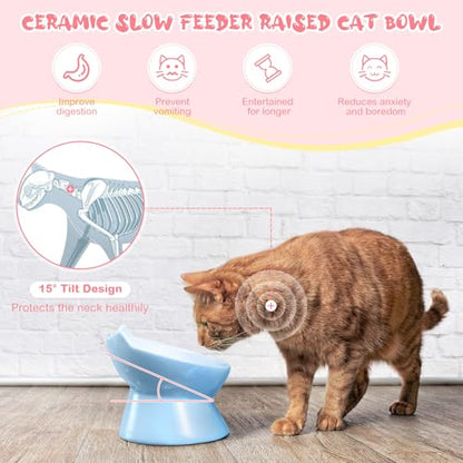 Funnymoom 2 Pcs Ceramic Raised Slow Feeder Cat Bowl, 5.91inch Elevated Cat Slow Feeder Bowl Tilted Anti Vomiting for Dry Wet Food and Water Easy to Clean High Edge(Pink, Blue) - color: Pink, Blue