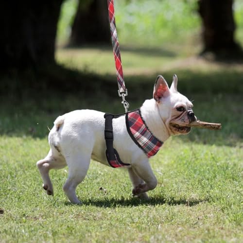 PUPTECK Soft Mesh Dog Harness and Leash Set Pet Puppy Cat Comfort Padded Vest No Pull Harnesses, Red Mixed, XS - color: Red Mixed, size: XS (NECK: 10", CHEST: 10"-14")