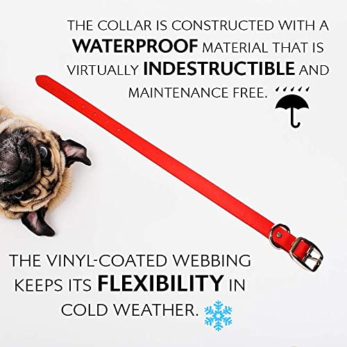Regal Dog Products Small Red Waterproof Dog Collars with Custom Engraved Name Plate | Vinyl Coated, Anti, Easy to Clean Personalized Biothane Dog Collar - Other Sizes for Medium & Large Dogs - color: Red, size: Small Collar