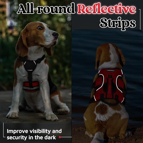 rabbitgoo Escape Proof Dog Harness, Soft Padded Full Body Pet Harness, Reflective Adjustable No Pull Vest with Lift Handle and Leash Clip for Large Dogs Walking Hiking Training, S, Red - color: Red, size: Small (Pack of 1)