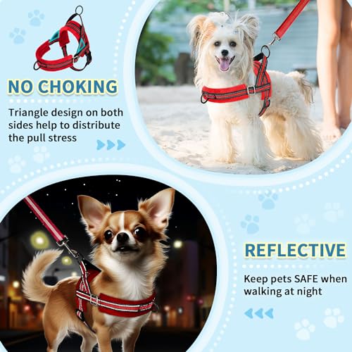 SlowTon No Pull Small Dog Harness and Leash Set, Puppy Soft Vest Harness Neck & Chest Adjustable, Reflective Lightweight Harness & Anti-Twist Pet Lead Combo for Small Medium Dogs (R-Front Clip,XXS) - color: B-Red - With Front Clip, size: XX-Small