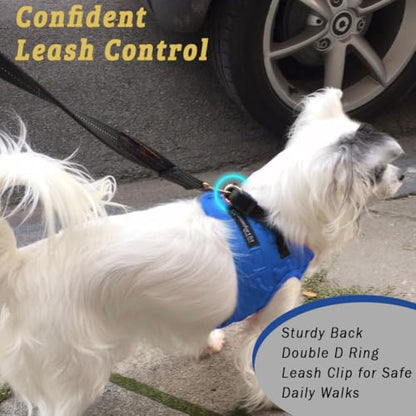 Comfort fit All Weather Step-in Dog Harness - Adjustable Small Dog Harness Medium Sized Dogs - Soft Padded Easy Walk Dog Vest Harnesses - color: Blue, size: S (Chest 12" - 15.5")