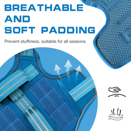 Small Dog Harness, Heavy Duty Tactical No Pull Dog Harness, No Choke, Easy On and Off Pet Vest with Molle System, Adjustable Reflective Dog Vest with Breathable Padded for Walking Hiking Training - color: Blue, size: S(Neck:16-22",Chest:20-28"),18-35 lbs
