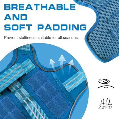 Small Dog Harness, Heavy Duty Tactical No Pull Dog Harness, No Choke, Easy On and Off Pet Vest with Molle System, Adjustable Reflective Dog Vest with Breathable Padded for Walking Hiking Training - color: Blue, size: S(Neck:16-22",Chest:20-28"),18-35 lbs