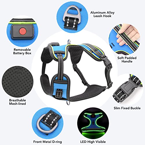 Safety LED Dog Harness - Light Up Dog Vest, No-Pull Dog Harness - Rechargeable Glowing Pet Harness for Night Walking & Camping (Blue+Green Light, Medium) - color: Blue+Green Light, size: Medium