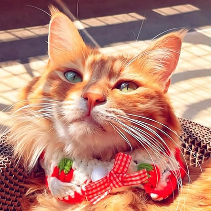 Cat Collar Breakaway, Kitten Collar with Cute Bow Tie Strawberry Pattern Comfortable for Kitty and Small Puppies, Bandana Fits Neck 2-3 Inches (White) - color: white
