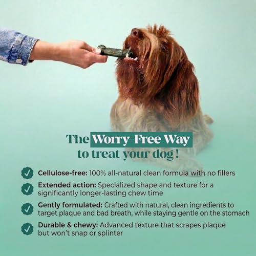 Pet Honesty Brush Buddies All Natural Dog Dental Treats for Dogs – Long Lasting Dental Sticks for Dogs, Teeth Cleaner, Breath Freshener, Plaque & Tartar Remover – Extra Small Dogs (40 Count) - size: Extra Small Dog - 40 Count