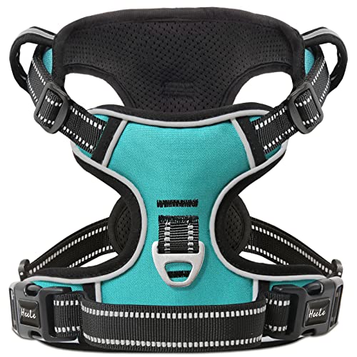 HEELE Dog Harness Dog Harness Small Dog No Pull Harness wiht Soft Handle Reflective Harness Adjustable, Turquoise, XS - color: Turquoise, size: XS