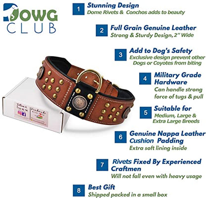 Genuine Leather ‘Cupola’ Series Dog Collar | Celtic Conchos & Gold Dome Rivets | Soft, Cushion Padding, Handmade | Best for Medium, Large, XL Breeds (XL (Neck Size 22.5"-25.5"), Sienna Brown) - color: Sienna Brown, size: XL (Neck Size 22.5"-25.5")