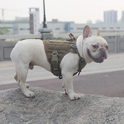 ICEFANG Tactical Dog Harness, Small Size,2X Metal Buckle,Working Dog MOLLE Vest with Handle,No Pulling Front Leash Clip,Hook and Loop Panel (Brown,S (Pack of 1)) - color: Brown, size: Small (Pack of 1)