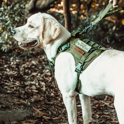 OneTigris Tactical Dog Harness Vest,No-Pull Service Dog Vest with Hook & Loop Panels,Adjustable Dog Vest Harness for Walking Hiking Training(Green,XXS) - color: Green, size: XX-Small