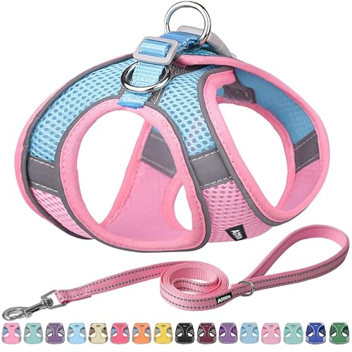 AIITLE Dog Harness, No-Pull Cat Harness with a Leash, Adjustable Reflective Dog Vest, Cat Harness Escape Proof, Outdoor Walking, Running,Training for Extra Small Dogs and House Cats Pink XXXS - color: Pink, size: XXXS(Chest: 8.5 - 10")