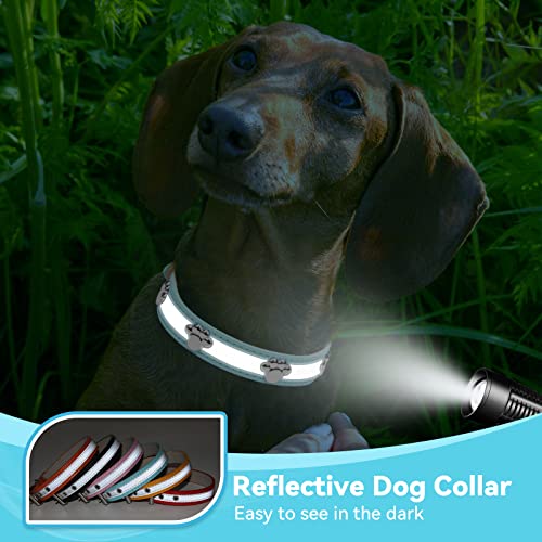 PETCARE Reflective Dog Collar with Cute Paw Rivet Studded Funny Soft PU Leather Adjustable Puppy Dog Collars for Small Medium Large Dogs Cats (Blue,Large) - color: Blue, size: L( Neck 11.81"-14.17")