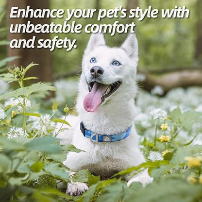 Soft Padded Dog Collar, Neck 9’’-14’’, Adjustable Heavy Duty Collar with 3M Reflective Logo for Small Dogs, Camo Blue, S - color: Camo Blue, size: S (Neck 9''– 14'')