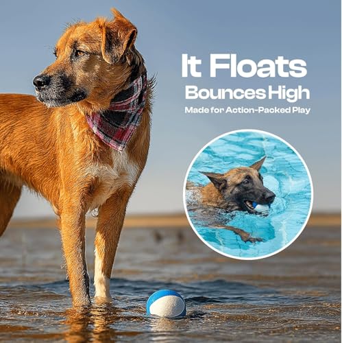 Squeaky Dog Toy – Durable Rubber Dog Ball for Medium & Large Dogs, Tough Interactive Fetch Toy for Chewers, Outdoor Training & Play Ball, Floating Water Play Gift.Ocean - color: Ocean