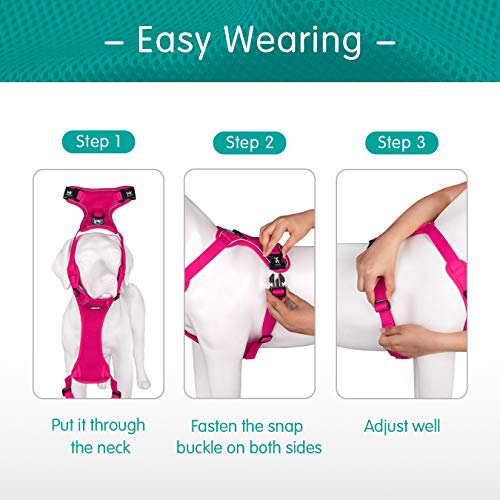 PoyPet Reflective Soft Breathable Mesh Dog Harness No Choke Double Padded Vest Adjustable(Fuchsia,S) - color: Fuchsia, size: S
