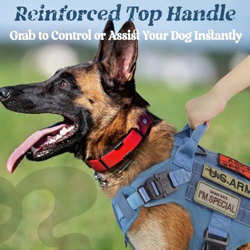 rabbitgoo Tactical Dog Harness Medium Sized, Heavy Duty Pet Harness with Handle, No-Pull Service Vest Medium Breed, Adjustable Military Dog Vest for Training Hunting Walking, Blue, M - color: Blue, size: Medium