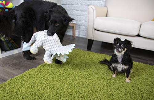 goDog Dinos Frills Squeaky Plush Dog Toy, Chew Guard Technology - Gray, Extra Large - color: Dinos Frills (Gray), size: X-Large