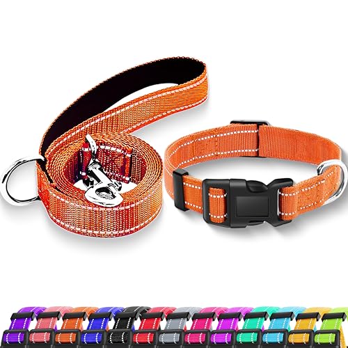Reflective Dog Collar with Safety Locking Buckle, Adjustable Soft Breathable Nylon Collars for Small, Medium and Large Dogs(Collar+Leash XS Width 3/8" Orange) - color: Orange, size: XX-Small (Width 3/8")