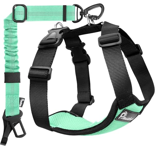Pawaboo Dog Seat Belt Harness for Car, Dog Car Harness Seatbelt with Double Clips, Adjustable Breathable Pet Vest & Dogs Safety Tether with Elastic Bungee for Small Medium Large Pet, M, Blue + Black - color: Blue + Black, size: Medium